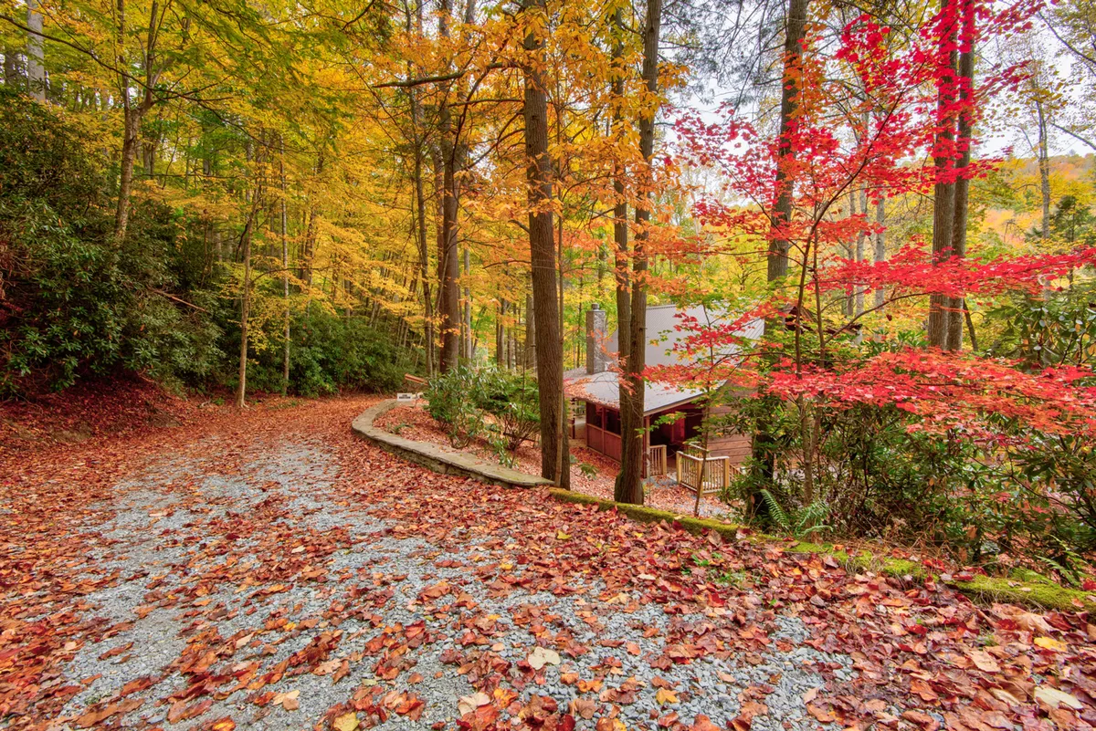A peaceful winding gravel path leads past a rustic cabin surrounded by vibrant autumn leaves, suggesting ample space for walks, fetch, and exploration. The natural landscape creates a welcoming setting for outdoor adventures.