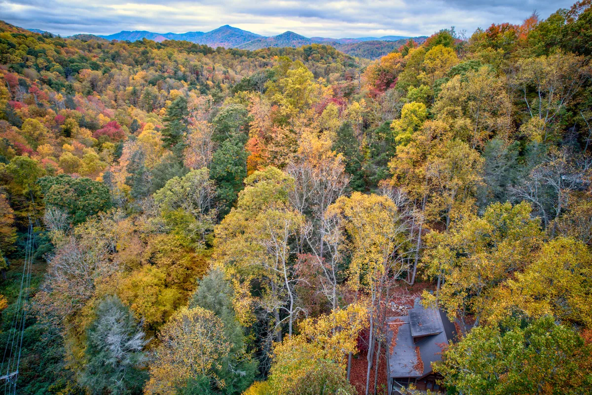A sweeping exterior view of vibrant autumn foliage with a mountain backdrop and the cabin’s roof visible. The tranquil landscape invites exploration, whether through mountain drives, hiking, or simply soaking in nature’s beauty. The open sky suggests stargazing possibilities.