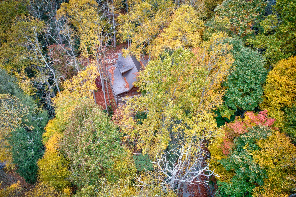 A picturesque view of Bucks Cabin nestled among vibrant fall foliage, with a wooden house surrounded by trees ablaze in autumn colors. The setting evokes the changing seasons and highlights the natural beauty of the Blue Ridge area.